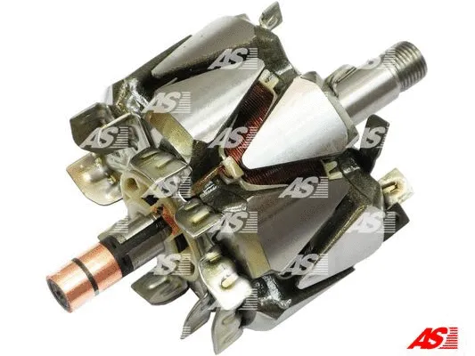 Rotor, alternator (AR3020)