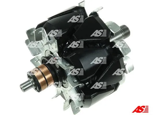 Rotor, alternator (AR5002S2)