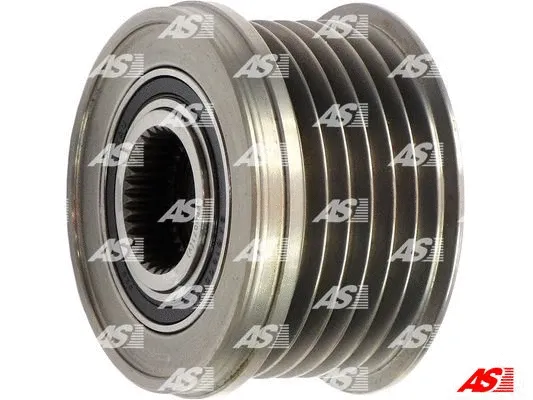 Alternator Freewheel Clutch (AFP0071(V))
