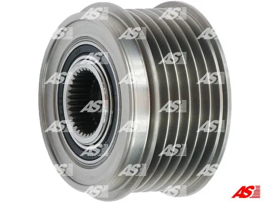 Alternator Freewheel Clutch (AFP5009(V))