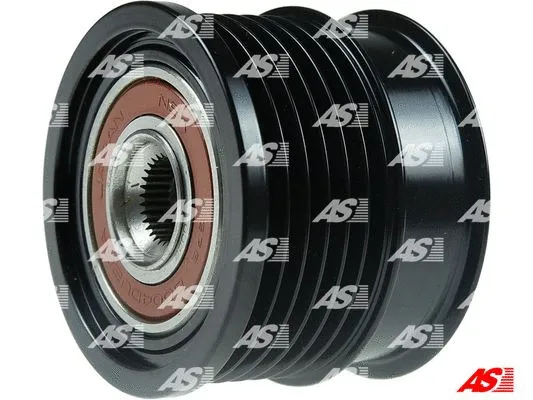 Alternator Freewheel Clutch (AFP0063(LITENS))