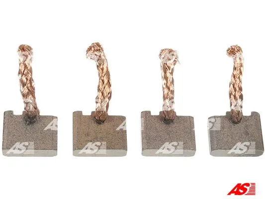 Carbon Brush, starter (BSX159-160(SCHUNK))