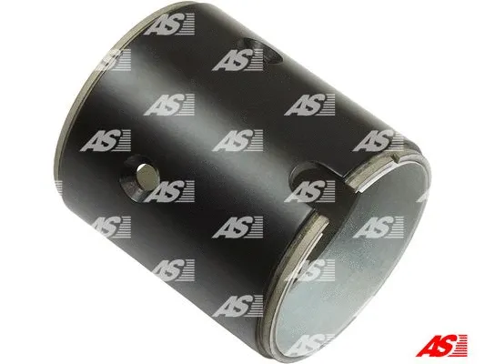 Field Winding, starter (SF6001)