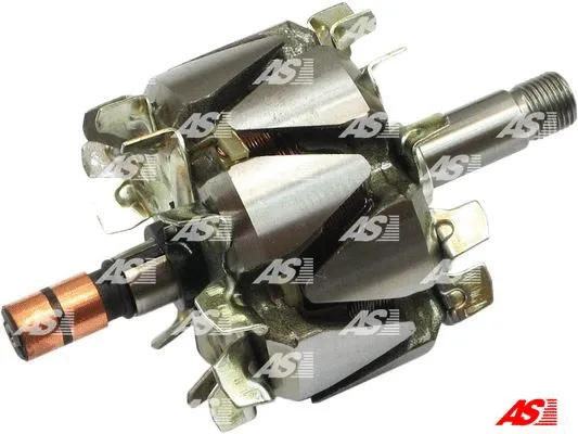 Rotor, alternator (AR9006)