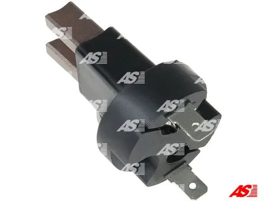 Holder, carbon brushes