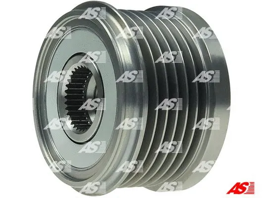 Alternator Freewheel Clutch (AFP0070)