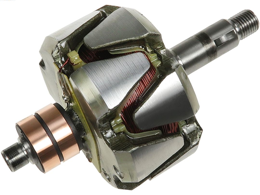 Rotor, alternator (AR4013S)