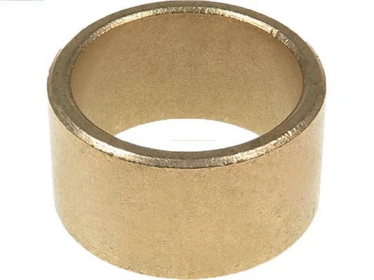 Bush, starter shaft (SBU9012)