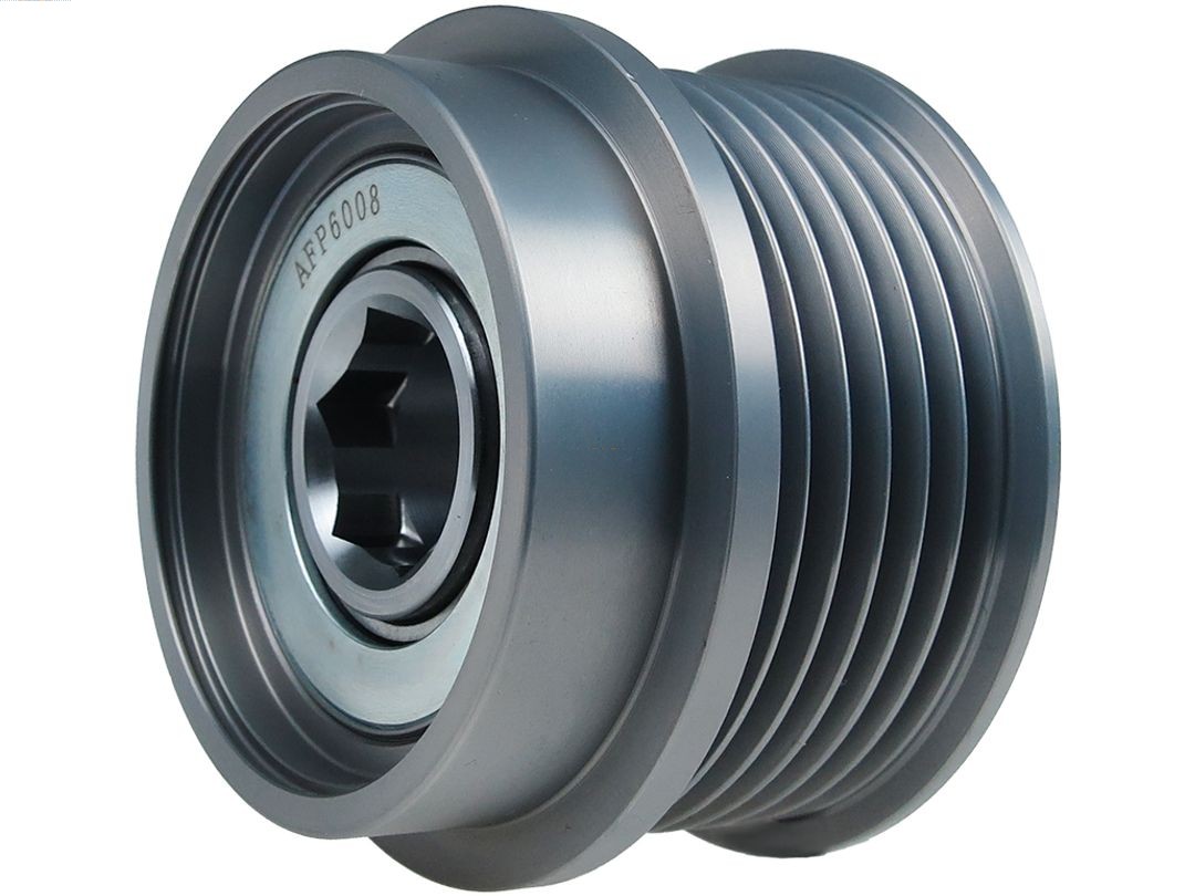 Alternator Freewheel Clutch (AFP6008)