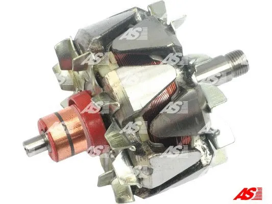 Rotor, alternator (AR2007)