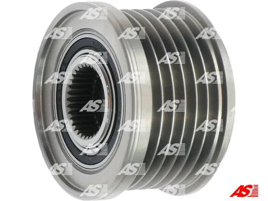 Alternator Freewheel Clutch (AFP3026(V))