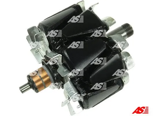 Rotor, alternator (AR5023R)