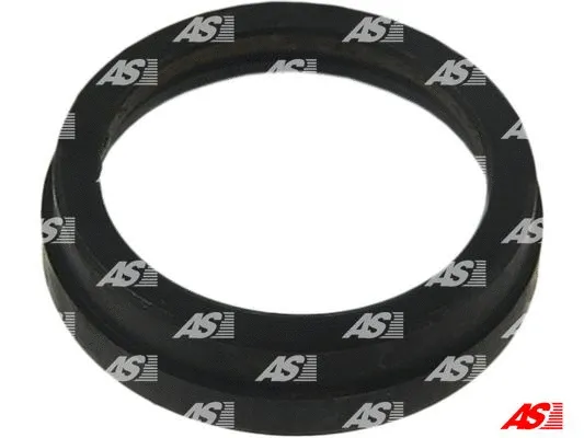 Repair Kit, starter (SRS5040)