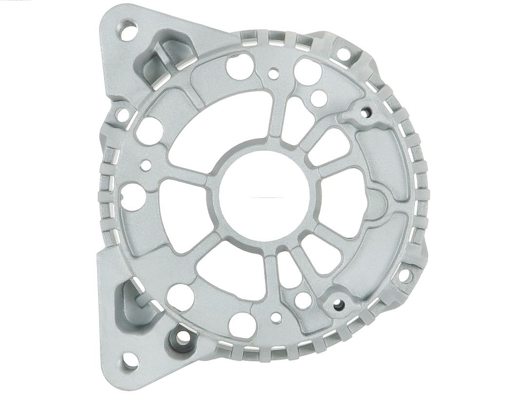 Bracket, alternator drive flange (ABR0285S)