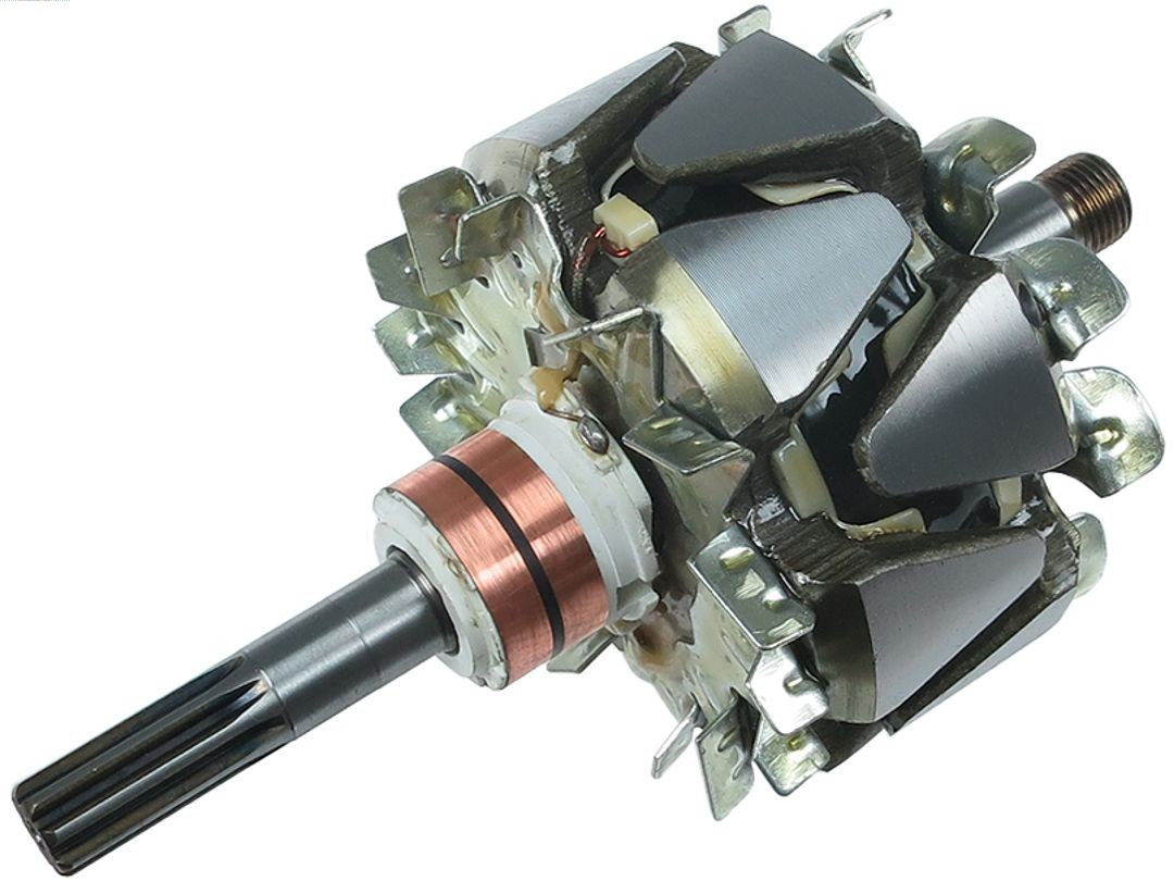 Rotor, alternator (AR5079S)