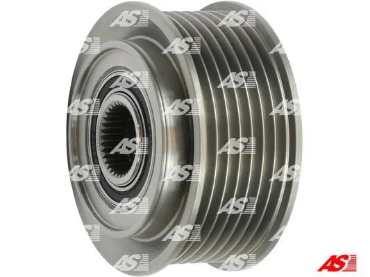 Alternator Freewheel Clutch (AFP3007(V))