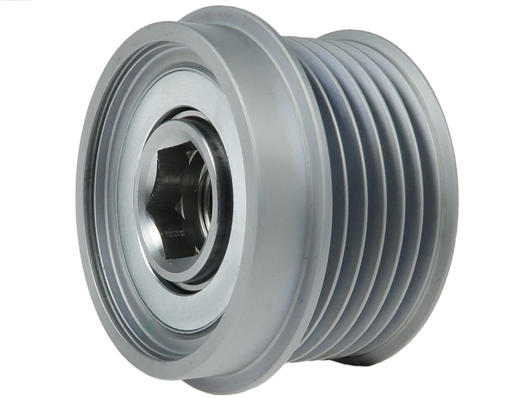 Alternator Freewheel Clutch (AFP5063S)