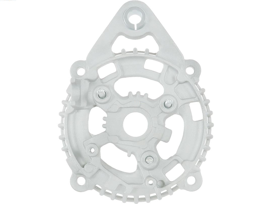 Bracket, alternator drive flange (ABR6197S)