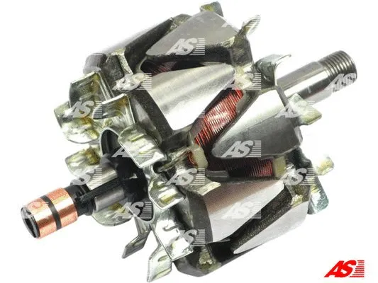 Rotor, alternator (AR0039)
