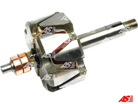 Rotor, alternator (AR0031)