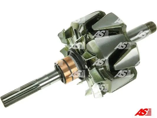 Rotor, alternator (AR2004)