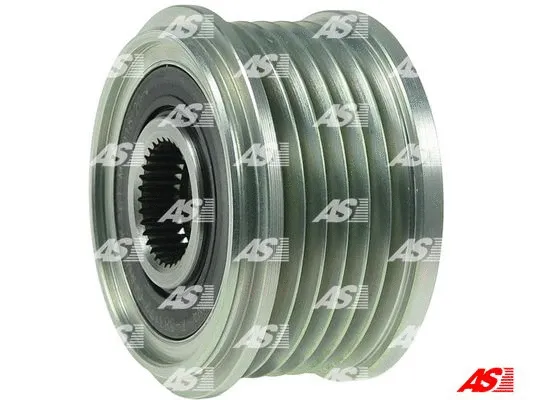 Alternator Freewheel Clutch (AFP0053(INA))