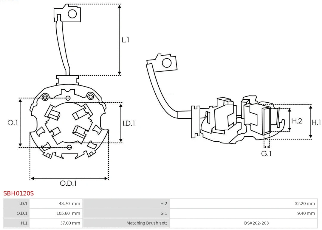 Holder, carbon brushes