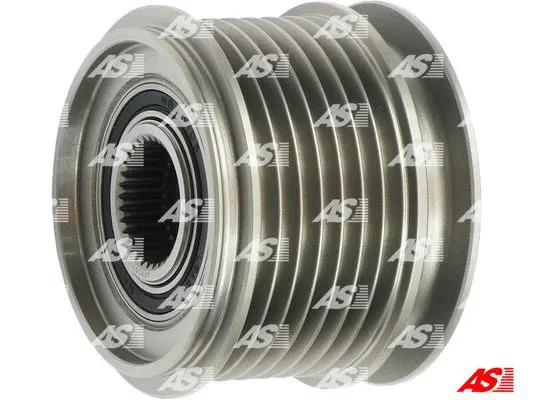 Alternator Freewheel Clutch (AFP0031(V))