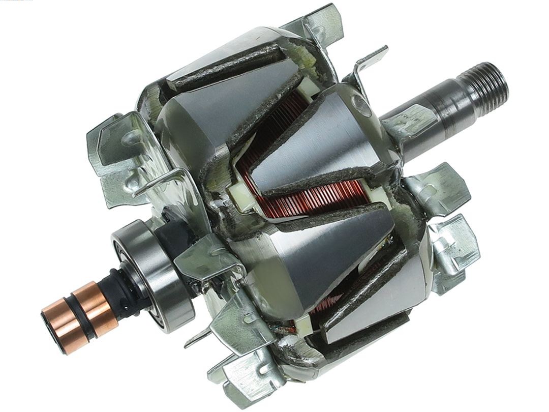 Rotor, alternator (AR0110S)