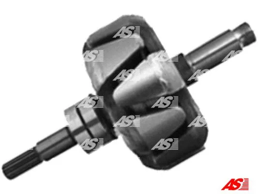 Rotor, alternator (AR2002)