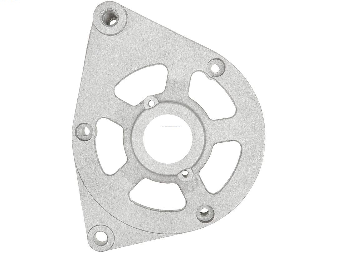 Bracket, alternator drive flange (ABR9052S)