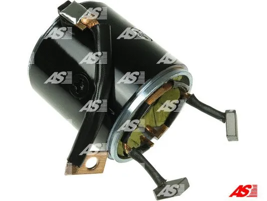 Field Winding, starter (SF5005)