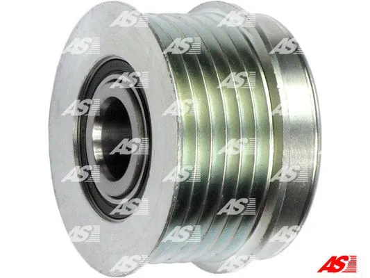 Alternator Freewheel Clutch