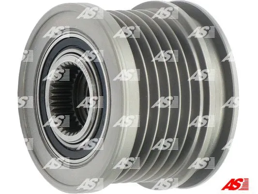 Alternator Freewheel Clutch (AFP0073(V))