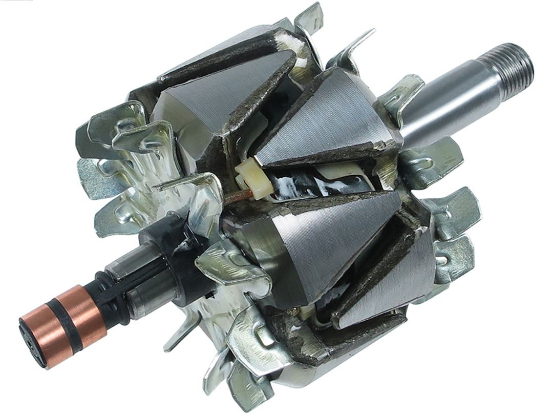 Rotor, alternator (AR0116S)