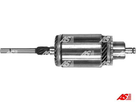 Armature, starter (SA0019)