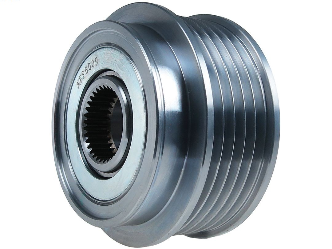 Alternator Freewheel Clutch (AFP6009)