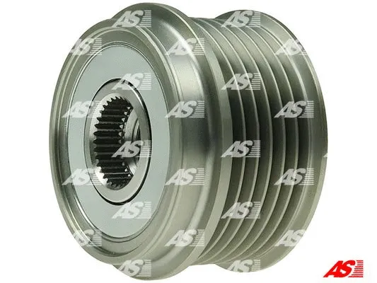 Alternator Freewheel Clutch (AFP0022)