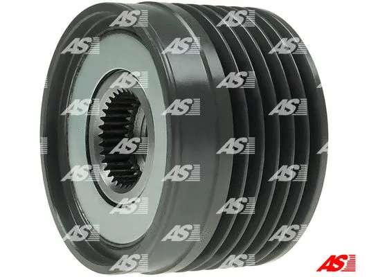 Alternator Freewheel Clutch (AFP0071)