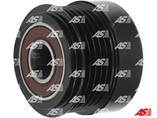 Alternator Freewheel Clutch