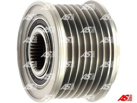 Alternator Freewheel Clutch (AFP0050(V))