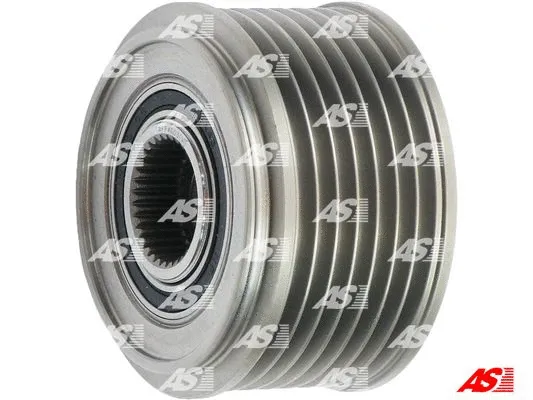 Alternator Freewheel Clutch (AFP4003(V))
