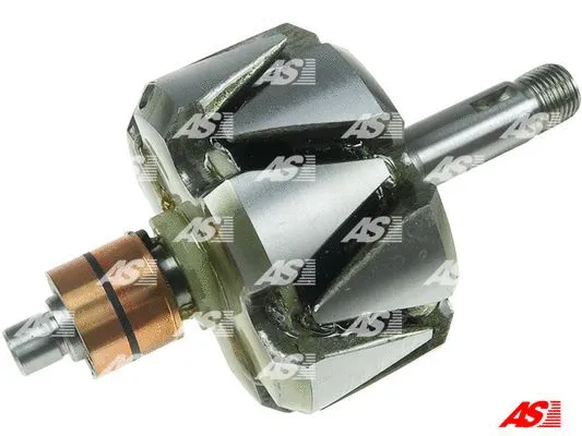 Rotor, alternator (AR0069)