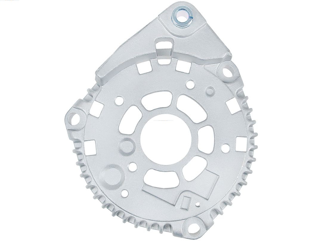 Bracket, alternator drive flange (ABR4076S)