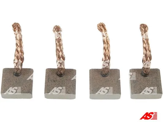 Carbon Brush, starter (BSX175-176(SCHUNK))