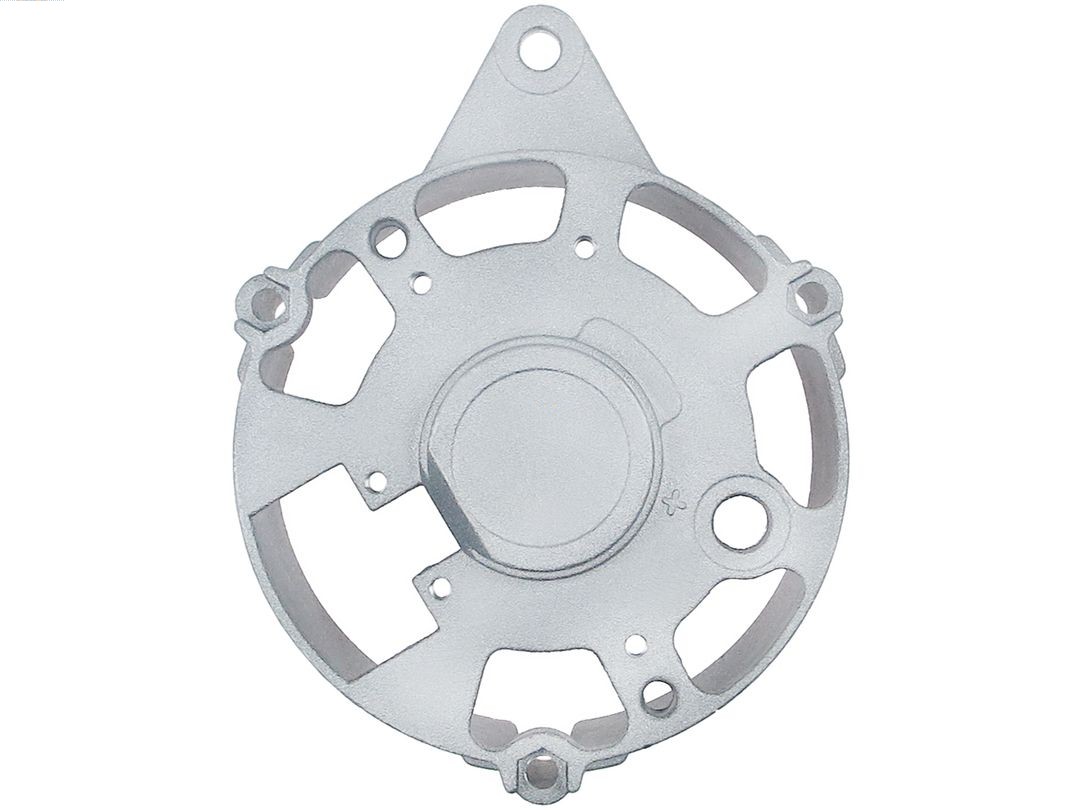 Bracket, alternator drive flange (ABR9076S)
