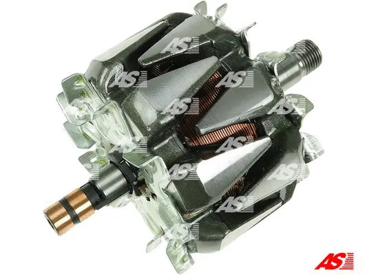 Rotor, alternator (AR0010)