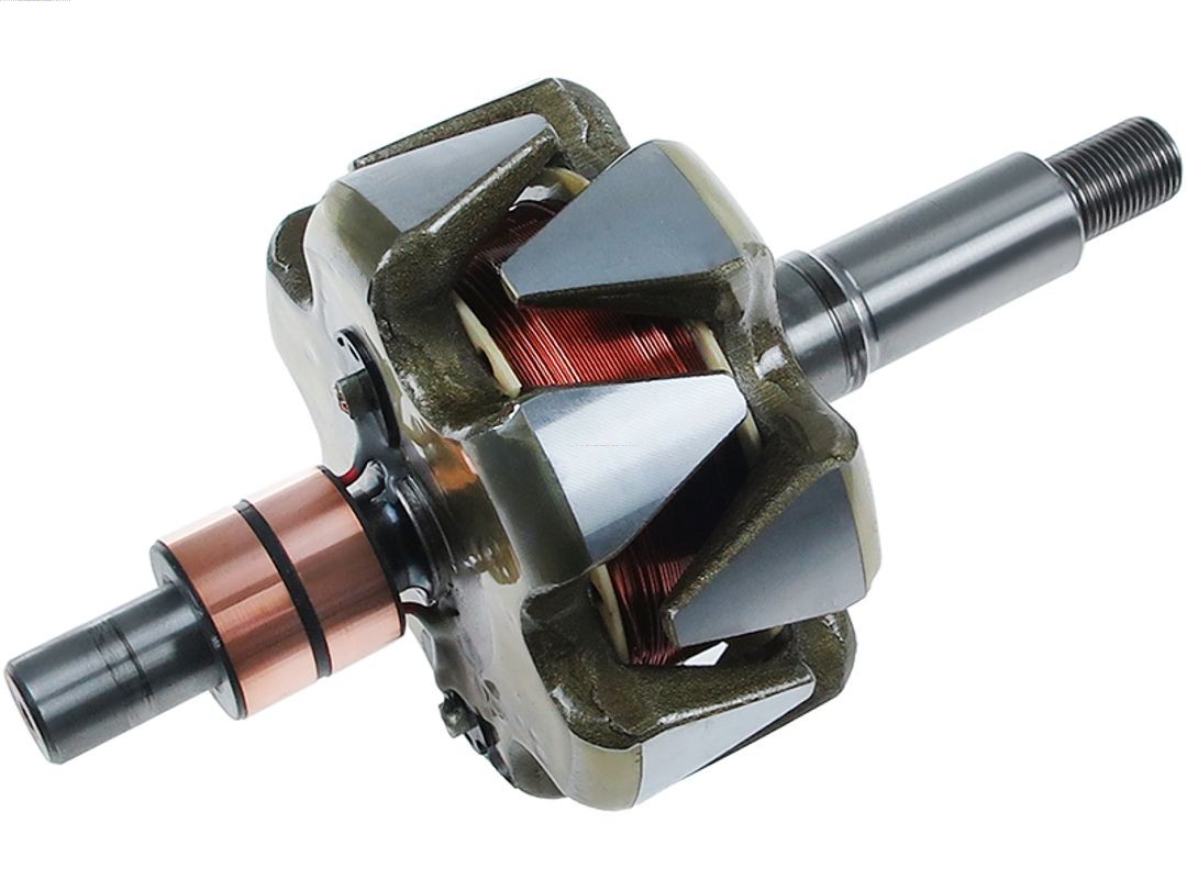 Rotor, alternator (AR1003)
