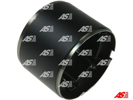 Field Winding, starter (SF5008)