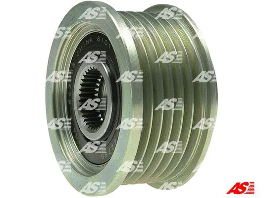 Alternator Freewheel Clutch (AFP9024(INA))